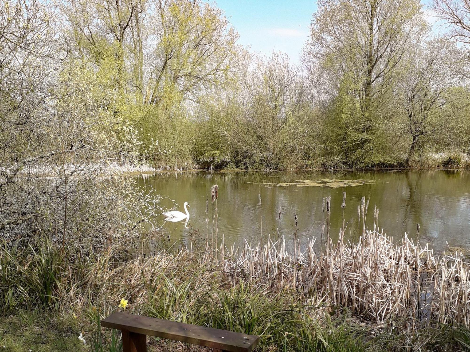 Herons Nest Bourton-on-the-Water Dış mekan fotoğraf